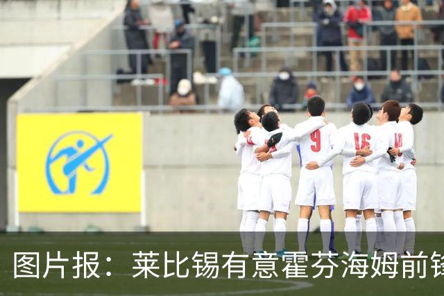 图片报：莱比锡有意霍芬海姆前锋阿斯拉尼，多特、巴萨也关注球员